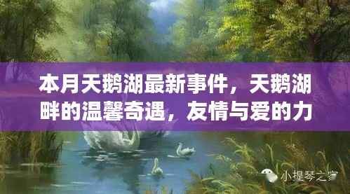 目不转睛 第9页