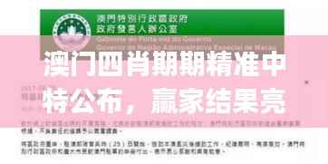 神采奕奕 第9页