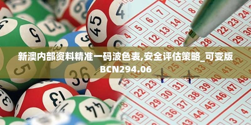 新澳内部资料精准一码波色表,安全评估策略_可变版BCN294.06
