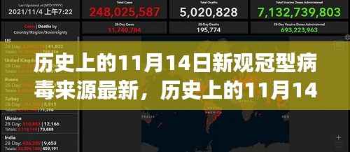 历史上的11月14日，新观冠型病毒来源的最新解读与解读报告揭秘