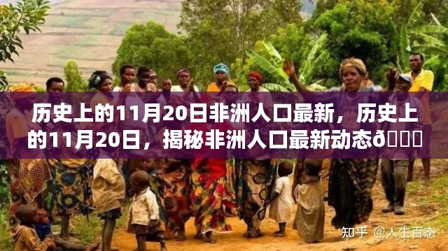揭秘非洲人口动态,历史上的11月20日最新进展📈
