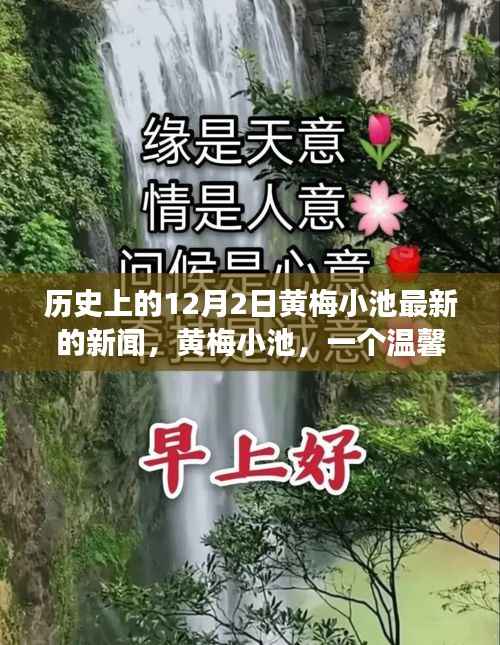 九死一生 第4页