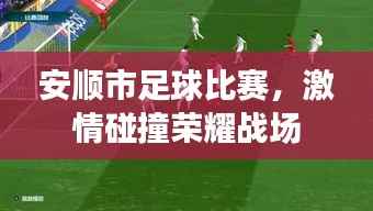 安顺市足球比赛，激情碰撞荣耀战场
