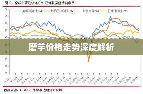 磨芋价格走势深度解析