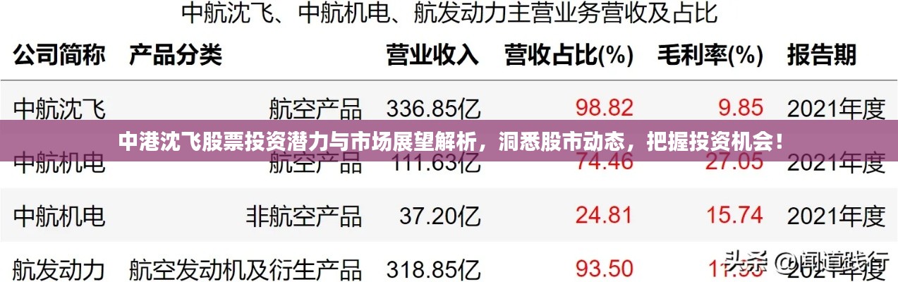 观往知来 第2页