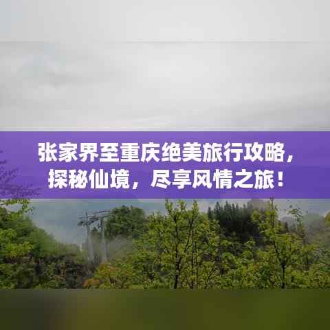 张家界至重庆绝美旅行攻略，探秘仙境，尽享风情之旅！