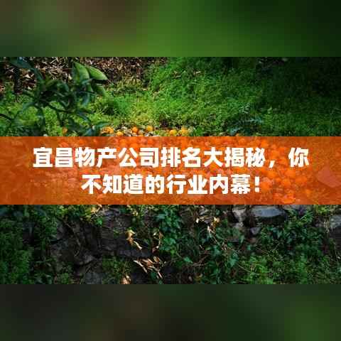 雍容雅步