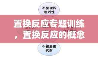 置换反应专题训练，置换反应的概念和例子 