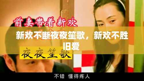 新欢不断夜夜笙歌，新欢不胜旧爱 