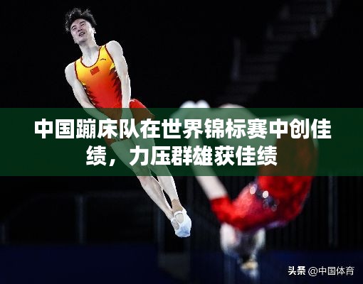 飞扬拨扈
