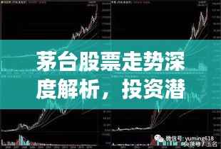 张狂妄行