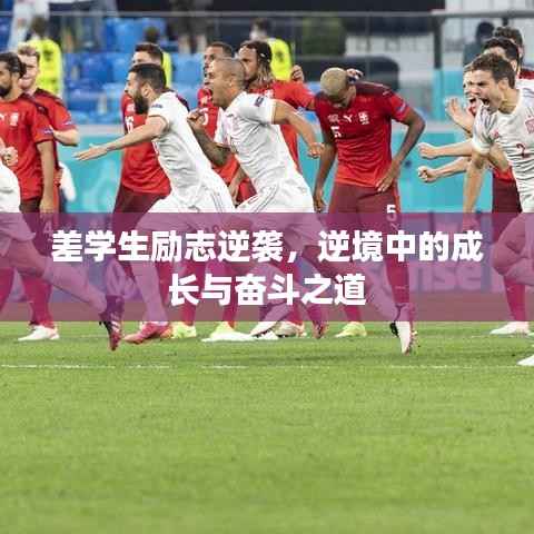 十全十美
